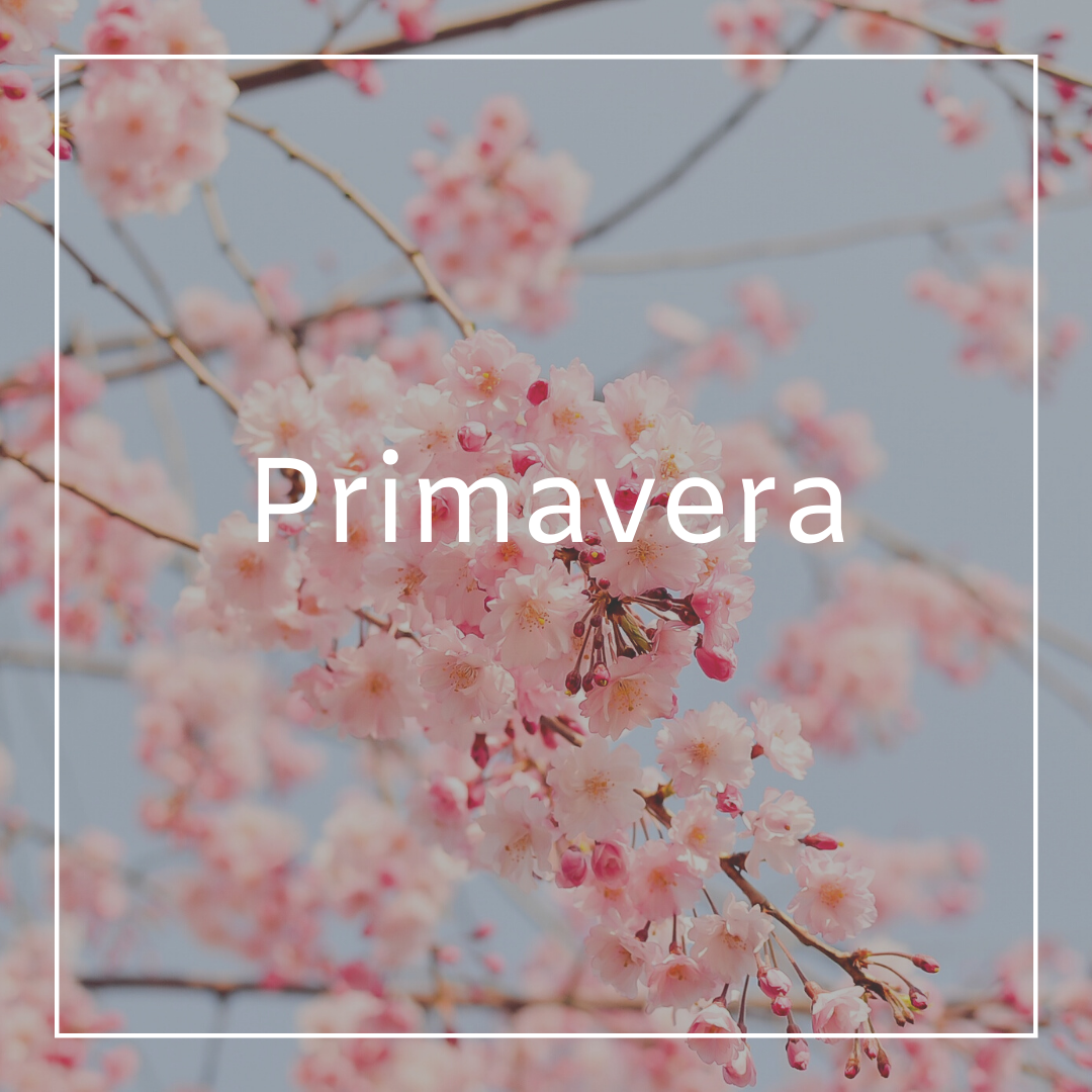 PRIMAVERA - Atlantica Store