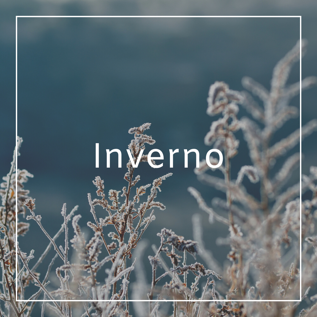INVERNO - Atlantica Store