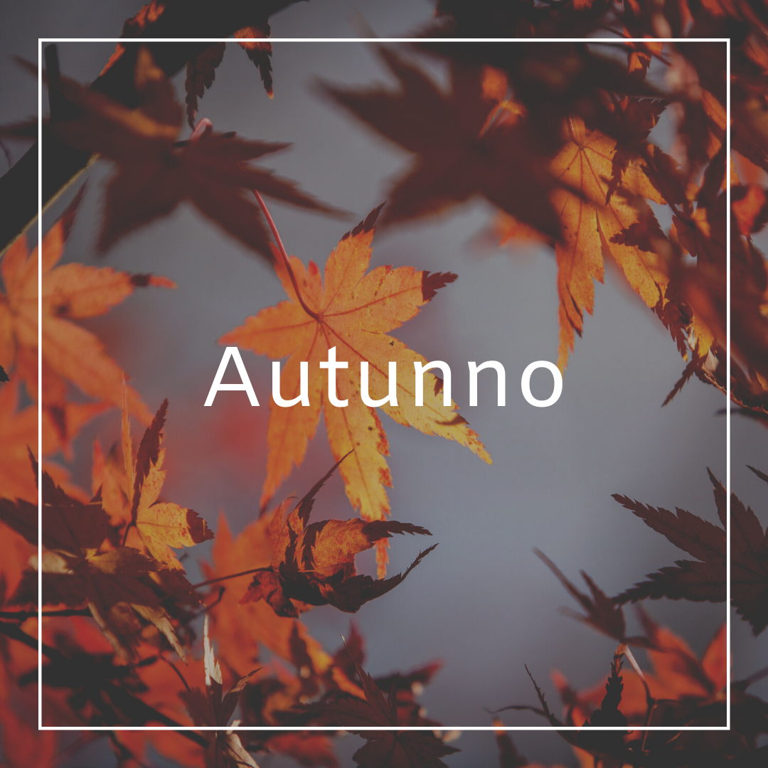AUTUNNO - Atlantica Store