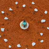 Anello Bondi - il sapore del sale