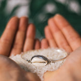 Shell Ring