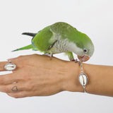 Shell Ring