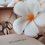 Shell Ring