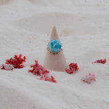 Anello Ari - L’atollo delle Maldive