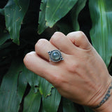 Anello Banyan - tutta l’energia dell’albero più sacro