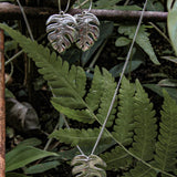Orecchini Moonstera - se ami le piante tropicali