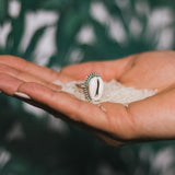 Anello Shell - Atlantica Store - Vendita online di gioielli in argento da tutto il mondo