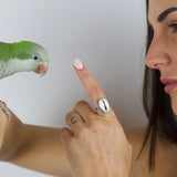 Anello Shell - Atlantica Store - Vendita online di gioielli in argento da tutto il mondo