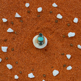 Anello Bondi - il sapore del sale