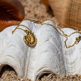 Collana ARAW