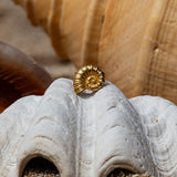 Anello ARAW