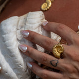 Anello ARAW