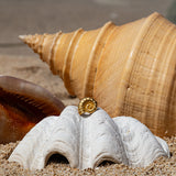 Anello ARAW