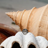 Anello TALA