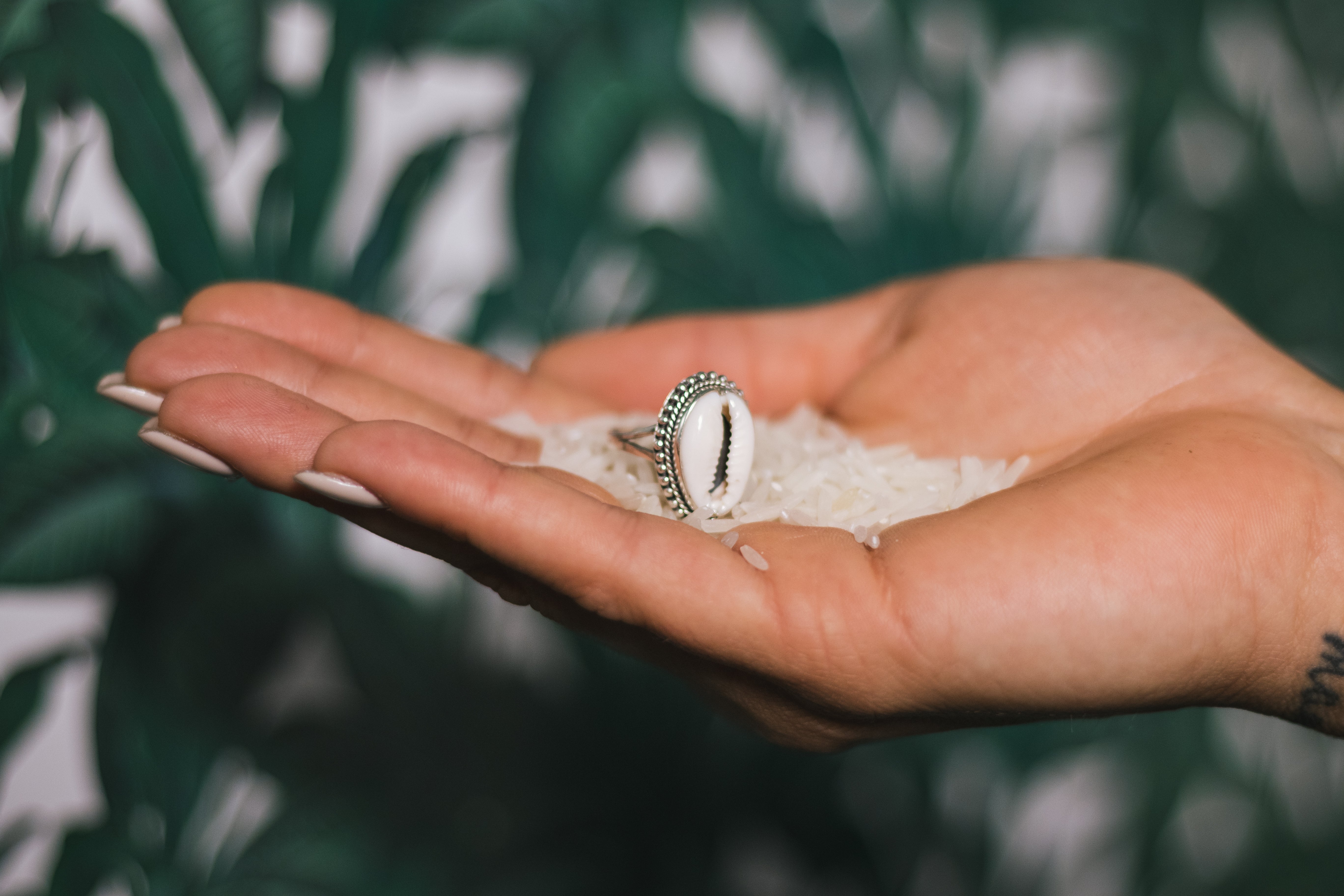 Anello Shell - Atlantica Store - Vendita online di gioielli in argento da tutto il mondo