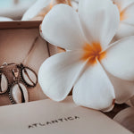 Collana Shell - Atlantica Store - Vendita online di gioielli in argento da tutto il mondo