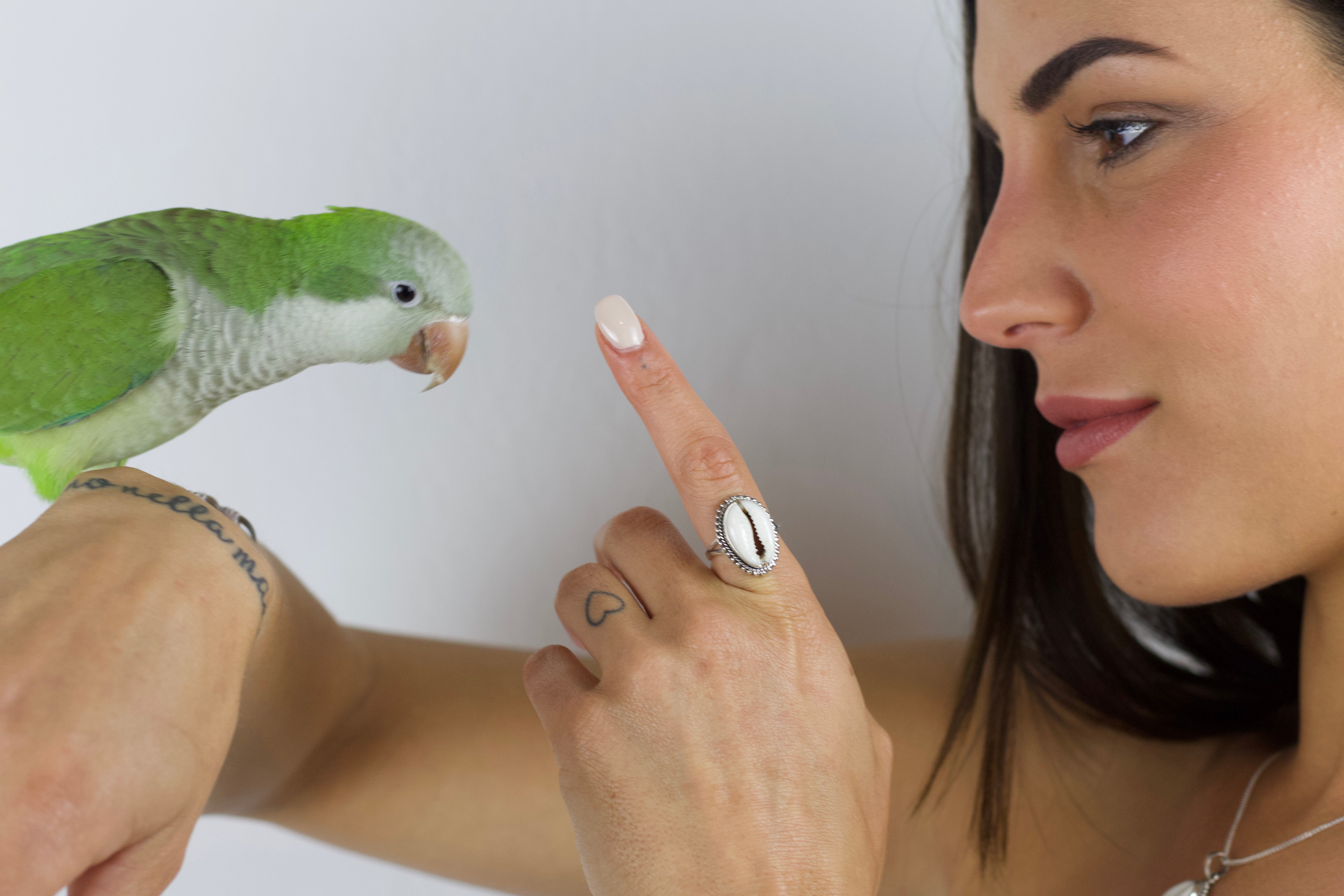 Anello Shell - Atlantica Store - Vendita online di gioielli in argento da tutto il mondo